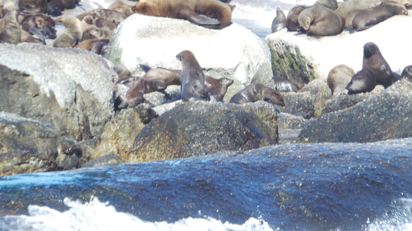 Seal Watching24